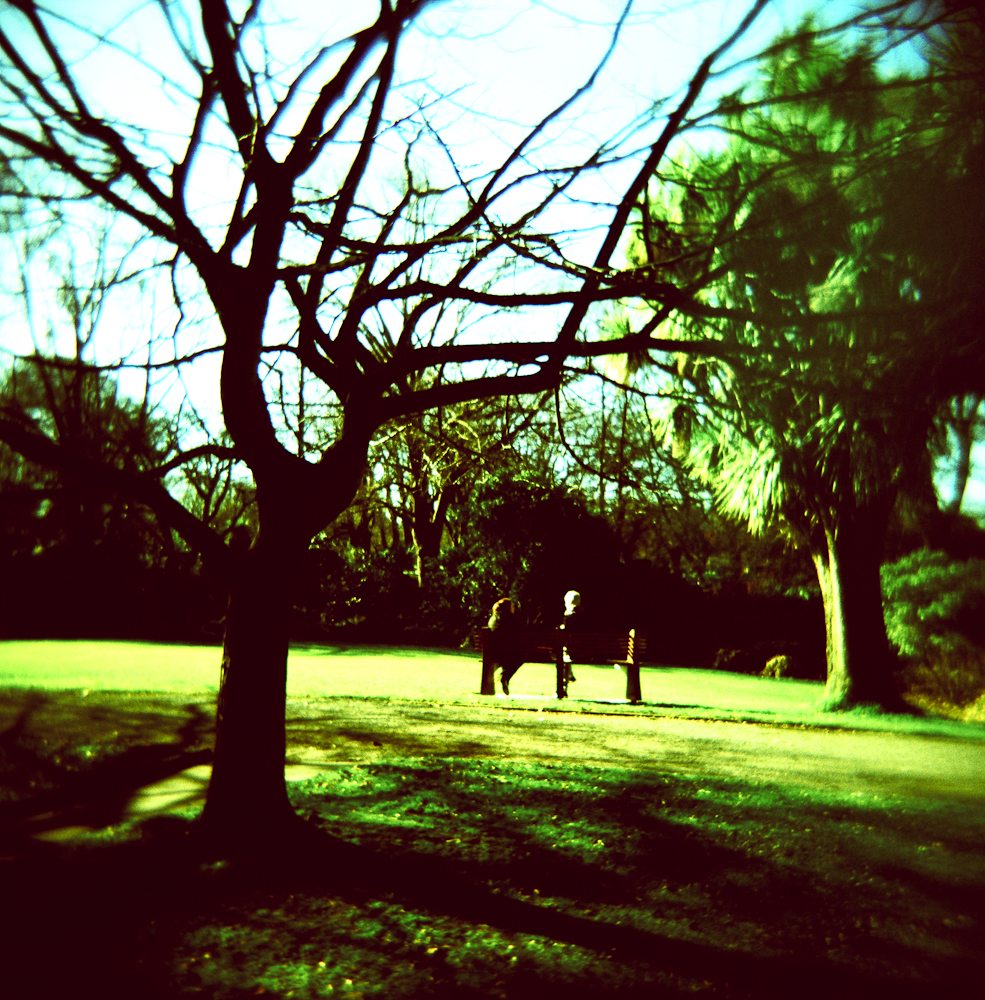 Holga (6 of 19) Holga (6 of 19)