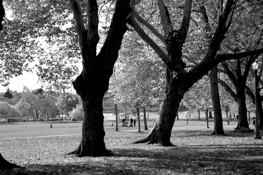 Colors (12 of 13) Colors (12 of 13)