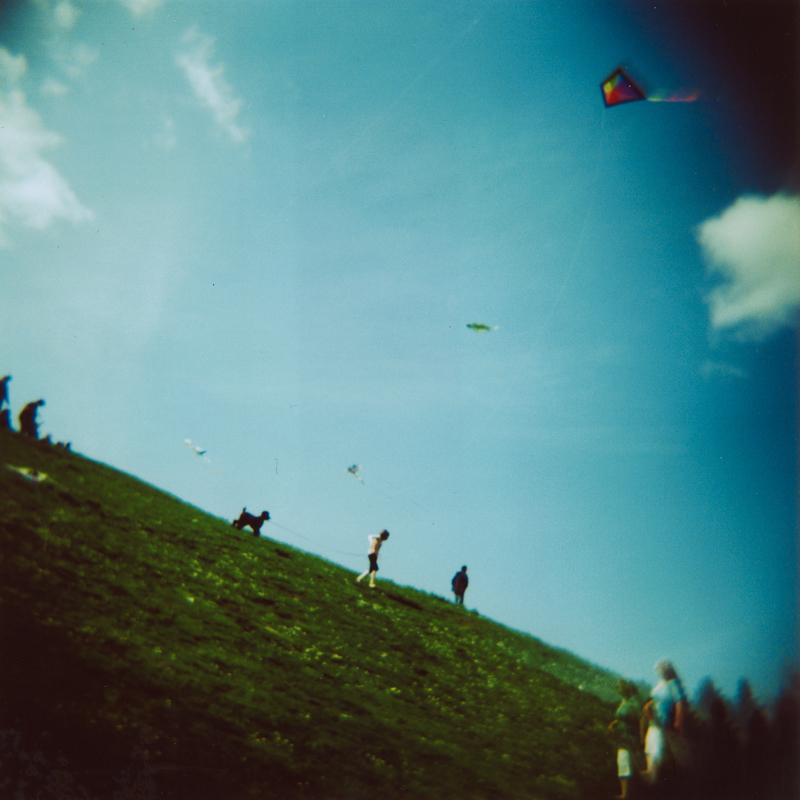 Kites Kites